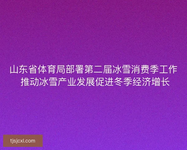 山东省体育局部署第二届冰雪消费季工作 推动冰雪产业发展促进冬季经济增长